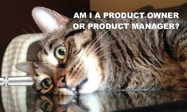 Product owner Product manager